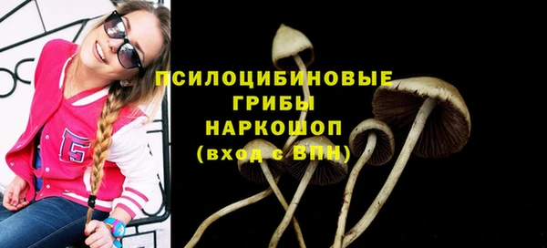 ALPHA PVP Алексеевка