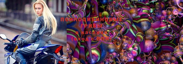 МДПВ Алексин