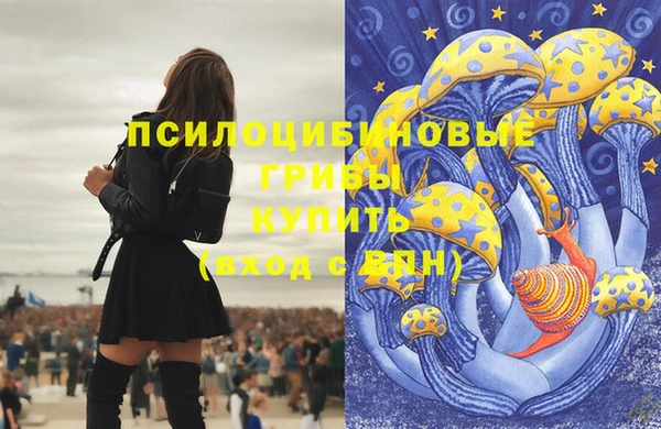 герыч Алзамай